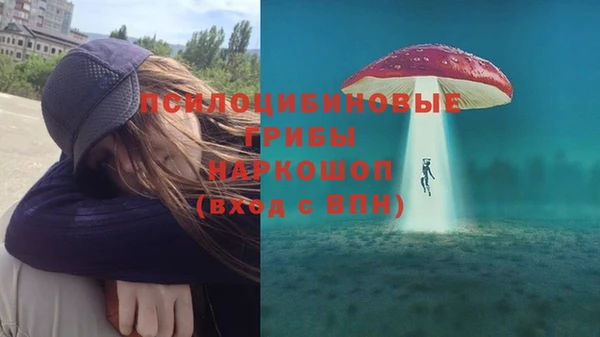 PSILOCYBIN Сатка