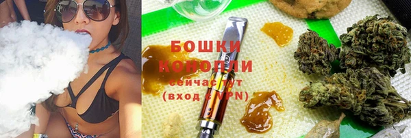 стаф Сафоново