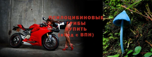 эйфоретик Белоозёрский