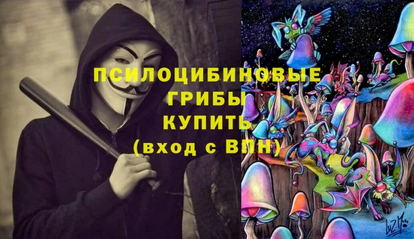 СК Беломорск