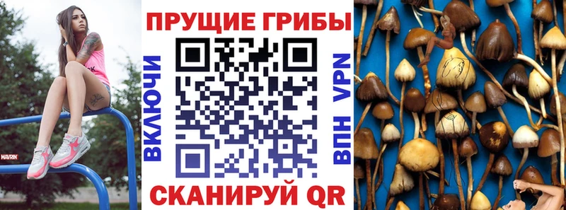 Галлюциногенные грибы MAGIC MUSHROOMS  Чёрмоз 